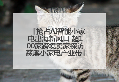 抢占AI智能小家电出海新风口 超100家跨境卖家探访慈溪小家电产业带