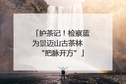 护茶记！检察蓝为景迈山古茶林 “把脉开方”