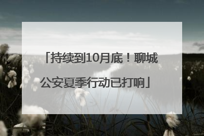持续到10月底！聊城公安夏季行动已打响