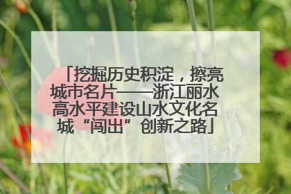 挖掘历史积淀，擦亮城市名片——浙江丽水高水平建设山水文化名城“闯出”创新之路