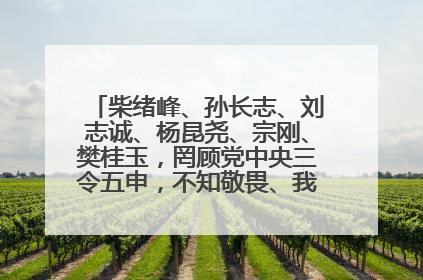 柴绪峰、孙长志、刘志诚、杨昆尧、宗刚、樊桂玉，罔顾党中央三令五申，不知敬畏、我行我素、肆意妄为！