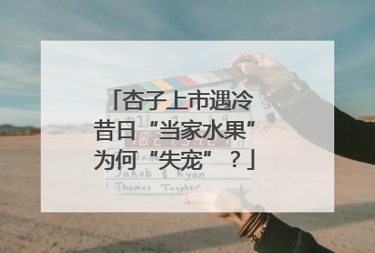 杏子上市遇冷 昔日“当家水果”为何“失宠”？