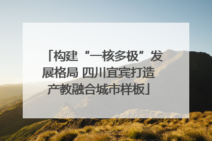 构建“一核多极”发展格局 四川宜宾打造产教融合城市样板