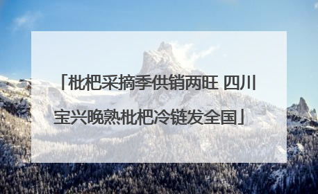 枇杷采摘季供销两旺 四川宝兴晚熟枇杷冷链发全国