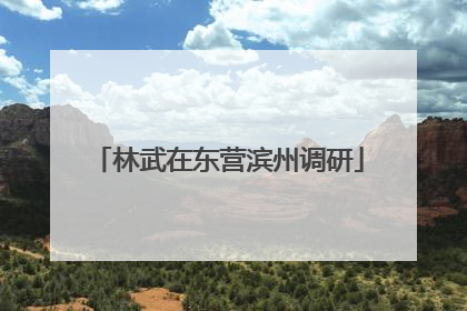 林武在东营滨州调研