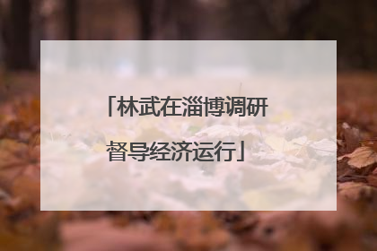 林武在淄博调研督导经济运行