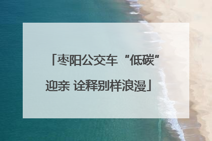 枣阳公交车“低碳”迎亲 诠释别样浪漫