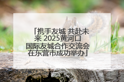 携手友城 共赴未来 2025黄河口国际友城合作交流会在东营市成功举办