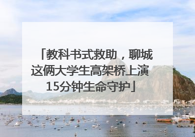 教科书式救助，聊城这俩大学生高架桥上演15分钟生命守护