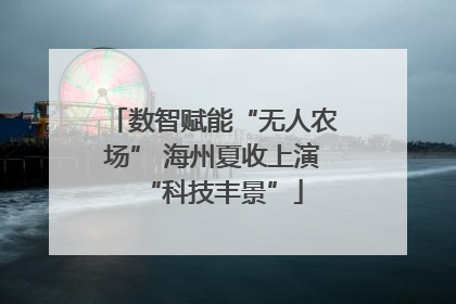 数智赋能“无人农场” 海州夏收上演“科技丰景”