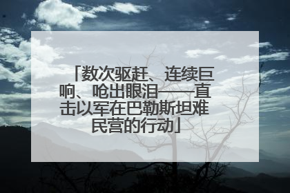 数次驱赶、连续巨响、呛出眼泪——直击以军在巴勒斯坦难民营的行动