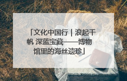 文化中国行｜浪起千帆 深蓝宝藏——博物馆里的海丝遗珍