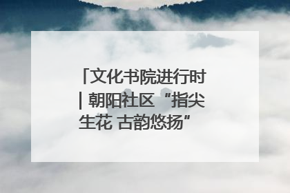 文化书院进行时｜朝阳社区“指尖生花 古韵悠扬”公益课堂开课了