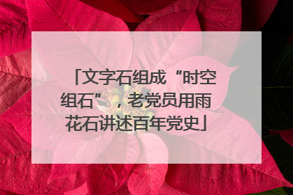 文字石组成“时空组石”，老党员用雨花石讲述百年党史