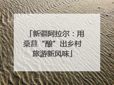新疆阿拉尔：用桑葚“酿”出乡村旅游新风味