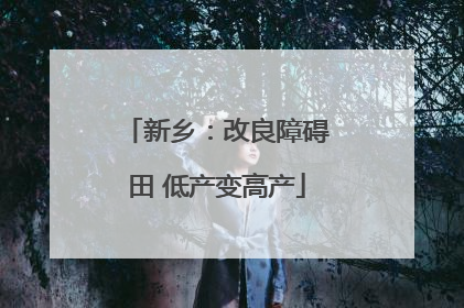 新乡：改良障碍田 低产变高产