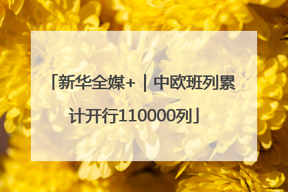 新华全媒+｜中欧班列累计开行110000列