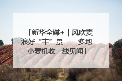 新华全媒+｜风吹麦浪好“丰”景——多地小麦机收一线见闻