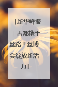 新华鲜报｜古都携手丝路！丝博会绽放新活力