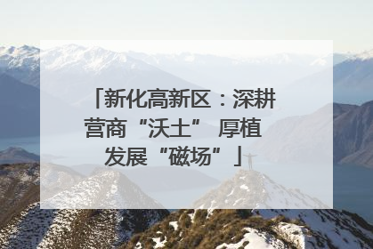新化高新区：深耕营商“沃土” 厚植发展“磁场”