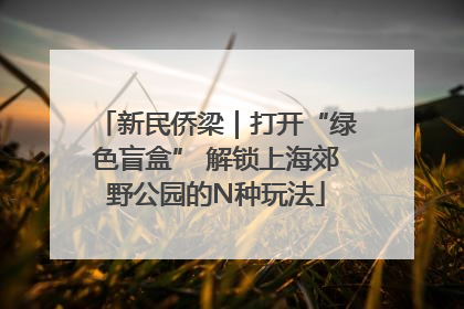 新民侨梁｜打开“绿色盲盒” 解锁上海郊野公园的N种玩法