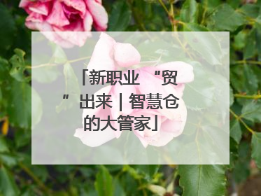 新职业 “贸”出来｜智慧仓的大管家