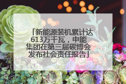 新能源装机累计达613万千瓦，申能集团在第三届碳博会发布社会责任报告