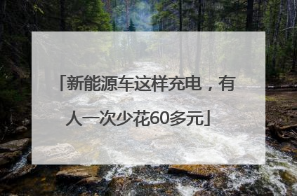 新能源车这样充电，有人一次少花60多元