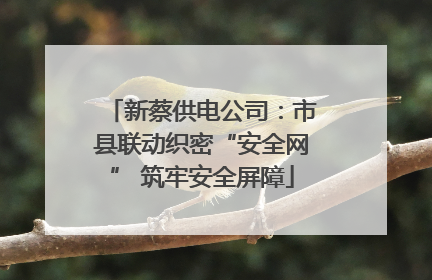 新蔡供电公司：市县联动织密“安全网” 筑牢安全屏障