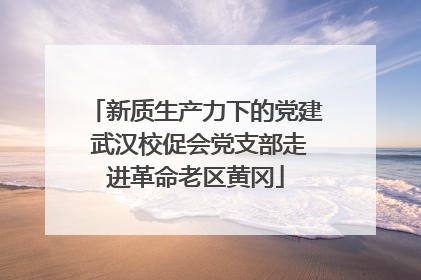 新质生产力下的党建 武汉校促会党支部走进革命老区黄冈