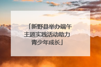 新野县举办端午主题实践活动助力青少年成长