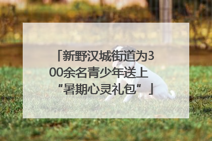 新野汉城街道为300余名青少年送上“暑期心灵礼包”