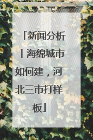 新闻分析丨海绵城市如何建，河北三市打样板