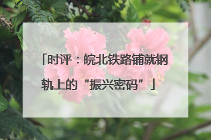 时评：皖北铁路铺就钢轨上的“振兴密码”