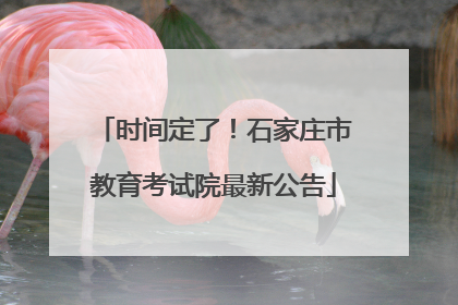 时间定了！石家庄市教育考试院最新公告