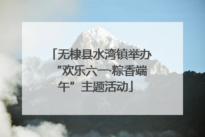 无棣县水湾镇举办“欢乐六一·粽香端午”主题活动