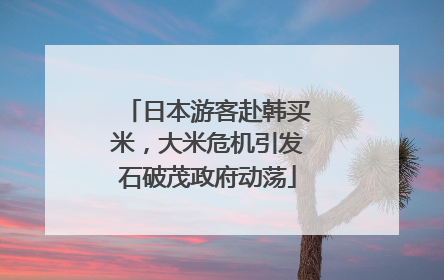 日本游客赴韩买米，大米危机引发石破茂政府动荡