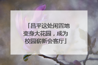 昌平这处闲置地变身大花园，成为校园崭新会客厅