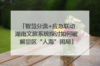 智慧分流+应急联动 湖南文旅系统探讨如何破解景区“人海”困局