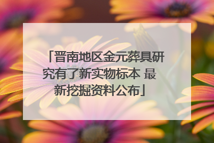 晋南地区金元葬具研究有了新实物标本 最新挖掘资料公布