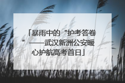 暴雨中的“护考答卷”——武汉新洲公安暖心护航高考首日