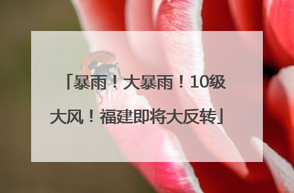 暴雨！大暴雨！10级大风！福建即将大反转
