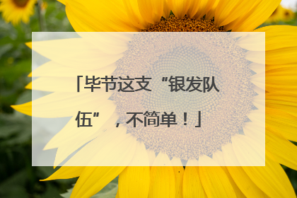 毕节这支“银发队伍”，不简单！