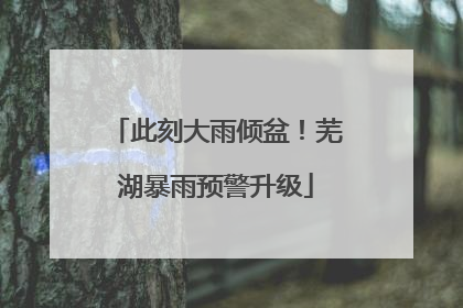 此刻大雨倾盆！芜湖暴雨预警升级