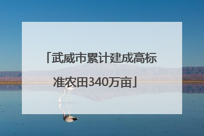 武威市累计建成高标准农田340万亩