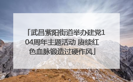 武昌紫阳街道举办建党104周年主题活动 赓续红色血脉锻造过硬作风