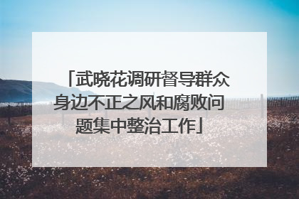 武晓花调研督导群众身边不正之风和腐败问题集中整治工作