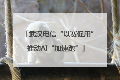 武汉电信“以赛促用”推动AI“加速跑”