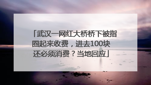 武汉一网红大桥桥下被指圈起来收费，进去100块还必须消费？当地回应