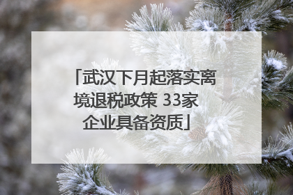 武汉下月起落实离境退税政策 33家企业具备资质